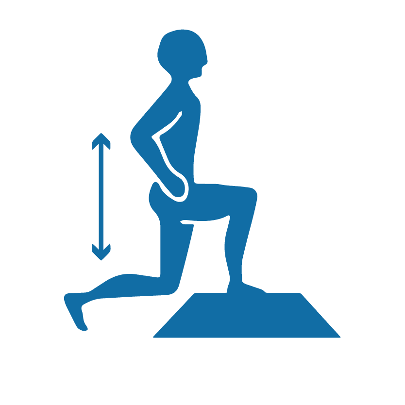 Lunge